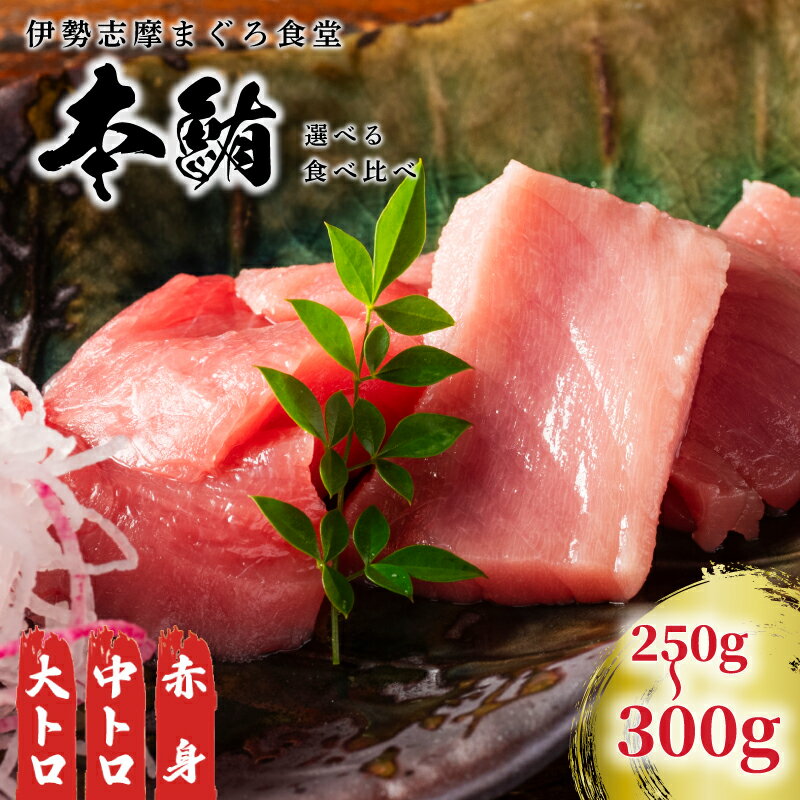 6位! 口コミ数「4件」評価「5」 本マグロ 刺身 柵 選べる内容 伊勢志摩まぐろ食堂 / 本まぐろ 本鮪 専門店 食べ比べ マグロ 鮪 刺し身 お刺身 三重県 伊勢志摩 南伊勢町 1万円台 2万円以下