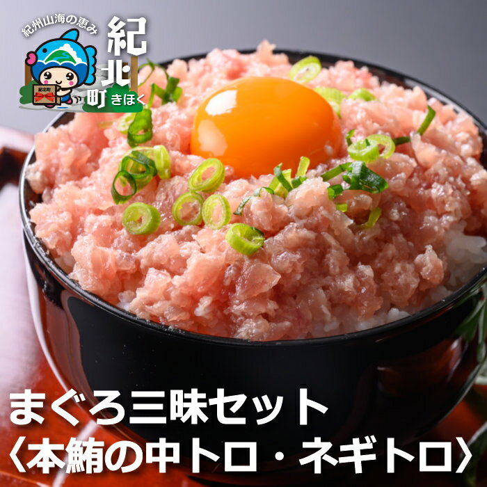 【ふるさと納税】まぐろ三昧セット〈本鮪の中トロ200g×2・ネギトロ100g×4袋〉本マグロ　手巻き寿司　...