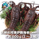 5位! 口コミ数「0件」評価「0」伊勢海老(刺身用) 600g[1尾〜3尾] いせえび イセエビ 活締め冷凍【CC22】