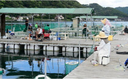 海上釣り掘・貞丸 利用券(割引券)