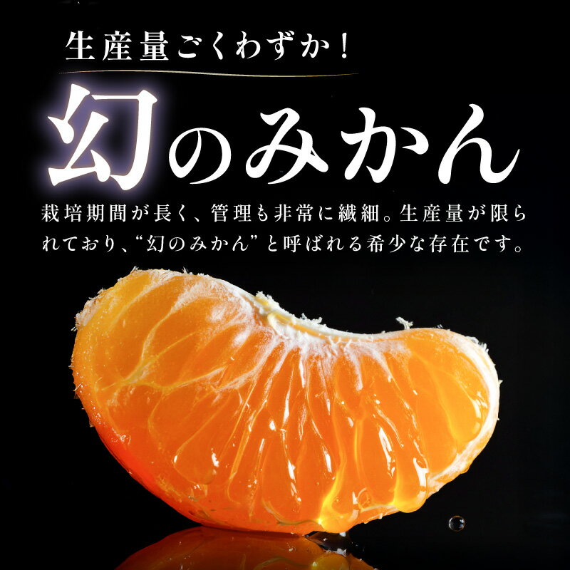 【ふるさと納税】ミカファーム 石地温州みかん 5kg 9.5kg 希少品種 三重県御浜町産【樹上で完熟させた、甘くてコクのあるみかん】