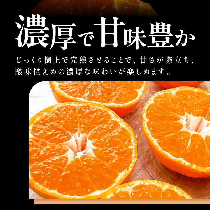 【ふるさと納税】ミカファーム 石地温州みかん 5kg 9.5kg 希少品種 三重県御浜町産【樹上で完熟させた、甘くてコクのあるみかん】
