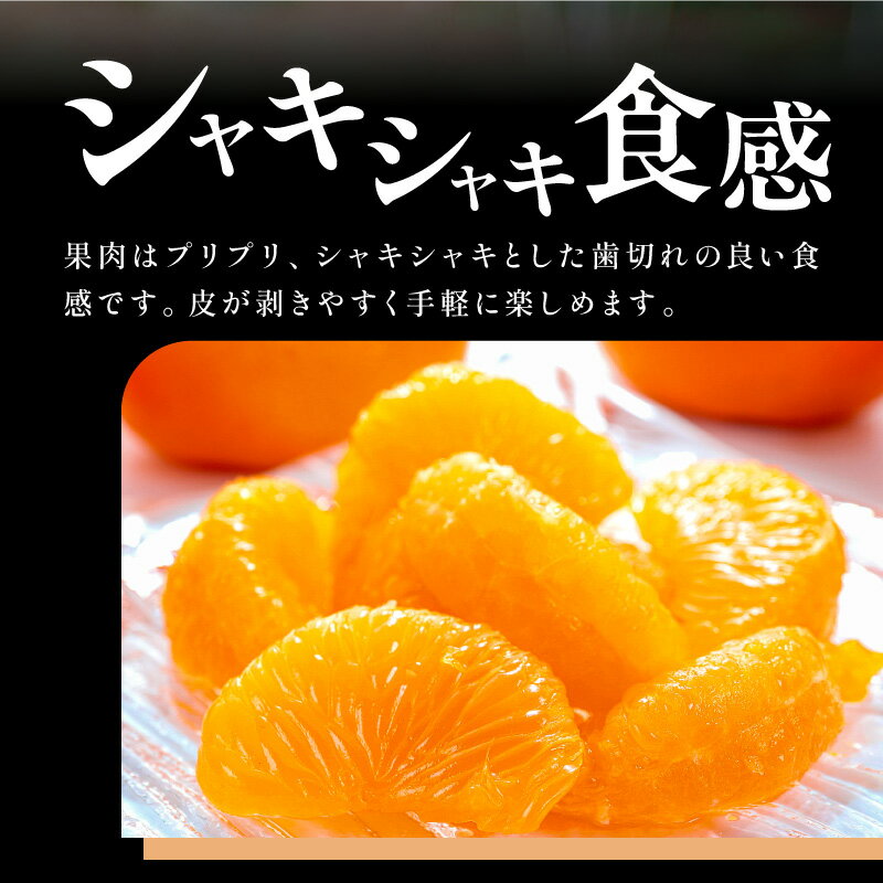 【ふるさと納税】【2026年発送 先行予約品】旨みと香りを産地直送！ ミカファーム みかん ポンカン 5kg 9kg 選べる 内容量【三重県御浜町産 甘くて食べやすい】