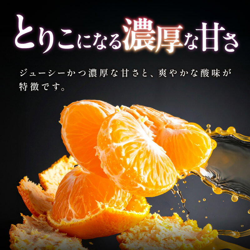 【ふるさと納税】【2026年発送 先行予約品】弾ける旨さ！ ミカファーム みかん はるみ 5kg 9kg 選べる 容量 先行予約【三重県御浜町産 プチプチと弾ける食感】