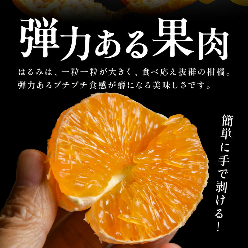 【ふるさと納税】【2026年発送 先行予約品】弾ける旨さ！ ミカファーム みかん はるみ 5kg 9kg 選べる 容量 先行予約【三重県御浜町産 プチプチと弾ける食感】
