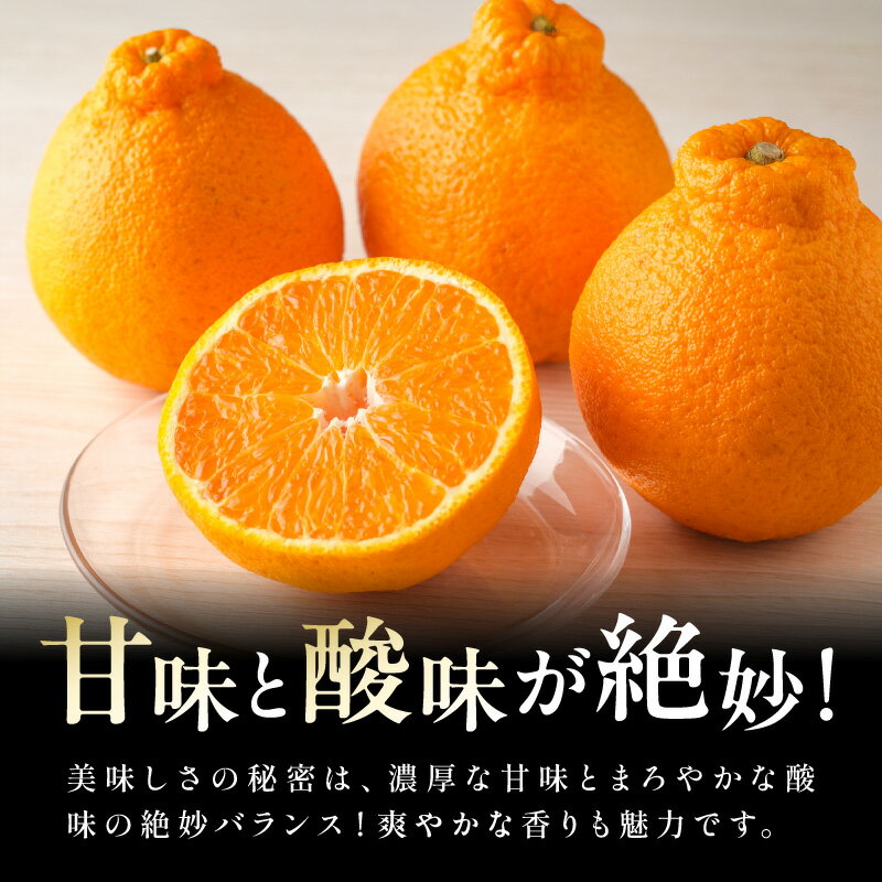 【ふるさと納税】【2026年発送 先行予約品】濃密な甘酸っぱさ！ ミカファーム 不知火 4.5kg 贈答用 春頃発送 三重県 御浜町産【プチプチと弾ける食感】