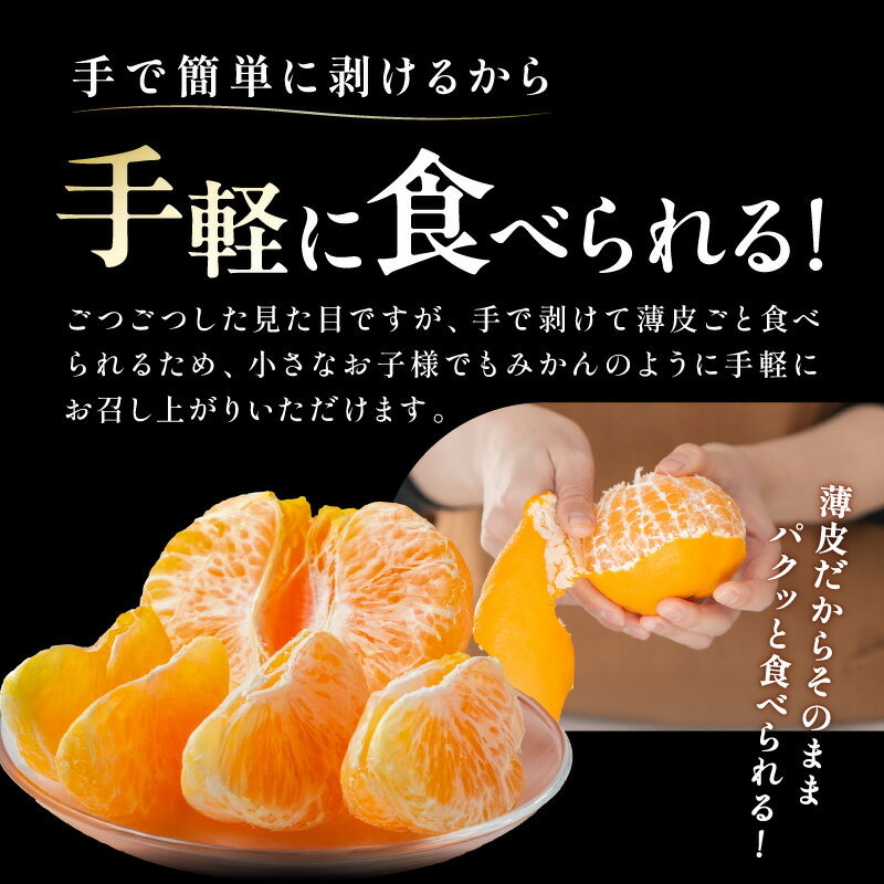 【ふるさと納税】【2026年発送 先行予約品】濃密な甘酸っぱさ！ ミカファーム 不知火 4.5kg 贈答用 春頃発送 三重県 御浜町産【プチプチと弾ける食感】