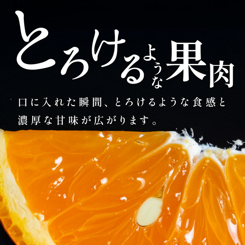 【ふるさと納税】【2026年発送 先行予約品】ミカファーム みかん カラマンダリン 5kg 9kg 家庭用 選べる 容量 三重県御浜町産【ジューシーかつ濃厚な味わいの高級柑橘】