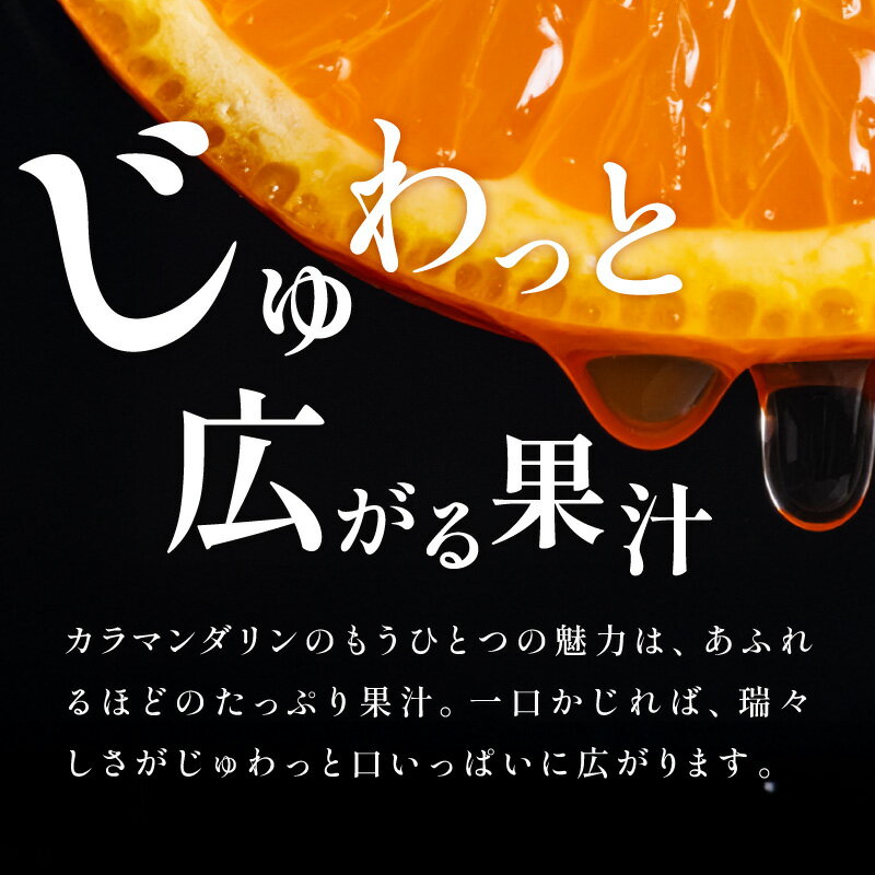 【ふるさと納税】【2026年発送 先行予約品】濃厚とろ旨！ ミカファーム みかん カラマンダリン 5kg 9kg 選べる 容量 三重県御浜町産【ジューシーかつ濃厚な味わいの高級柑橘】