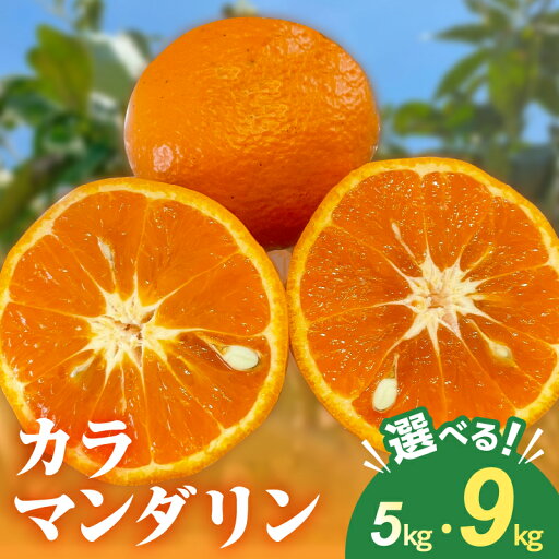 【ふるさと納税】【2026年発送 先行予約品】ミカファーム みかん カラマンダリン 5kg 9kg 選べる 容量 三重県御浜町産【ジューシーかつ濃厚な味わいの高級柑橘】 【ふるさと納税】【2026年発送 先行予約品】ミカファーム みかん カラマンダリン 5kg 9kg 選べる 容量 三重県御浜町産【ジューシーかつ濃厚な味わいの高級柑橘】