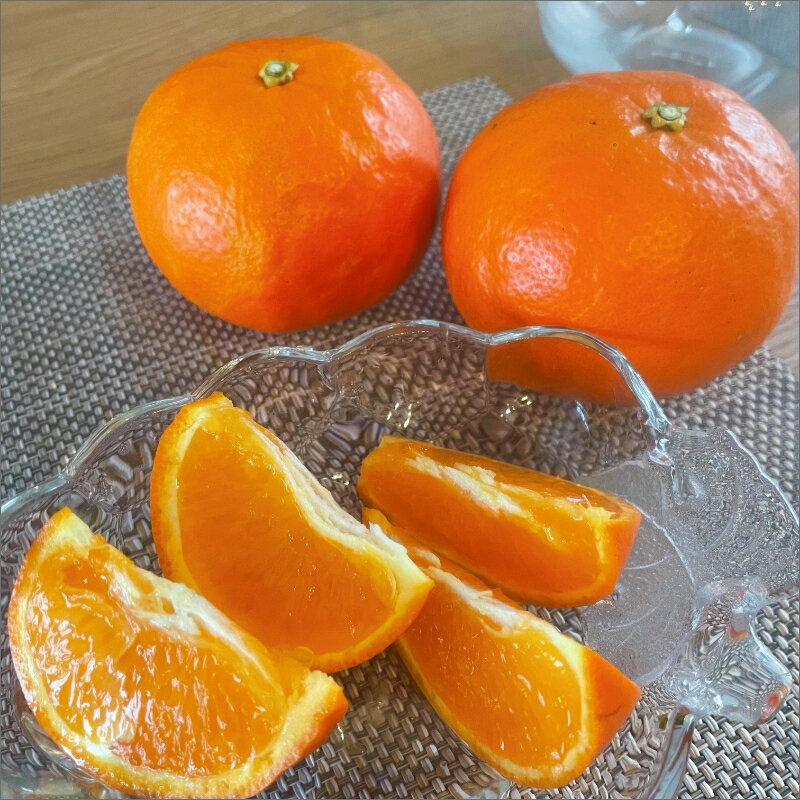 【ふるさと納税】【2026年発送 先行予約品】ミカファーム カラマンダリン＆セミノール詰め合わせ 5kg 9kg 春頃発送 三重県御浜町産