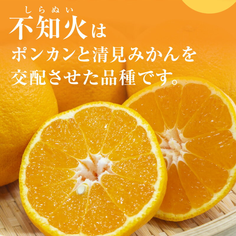 【ふるさと納税】【2026年発送 先行予約品】濃密な甘酸っぱさ！ ミカファーム 訳あり 不知火 5kg 9kg 家庭用 春頃発送 三重県 御浜町産【ジューシーかつ濃厚な味わい、プチプチと弾ける食感】