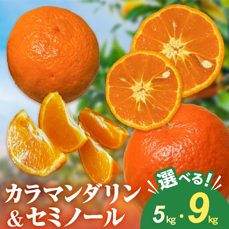 【ふるさと納税】【先行予約】ミカファーム カラマンダリン&セミノール詰め合わせ 5kg 9kg 春頃発送 三重県御浜町産