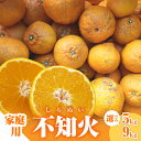 【ふるさと納税】ミカファーム 訳あり 不知火 5kg 9kg 家庭用 春頃発送 三重県 御浜町産【ジューシーかつ濃厚な味わい、プチプチと弾ける食感】