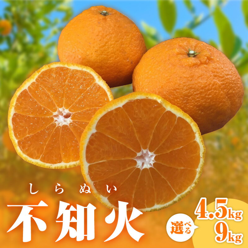 [2026年発送 先行予約品]ミカファーム 不知火 4.5kg 9kg 春頃発送 三重県 御浜町産[ジューシーで濃厚な味わい]