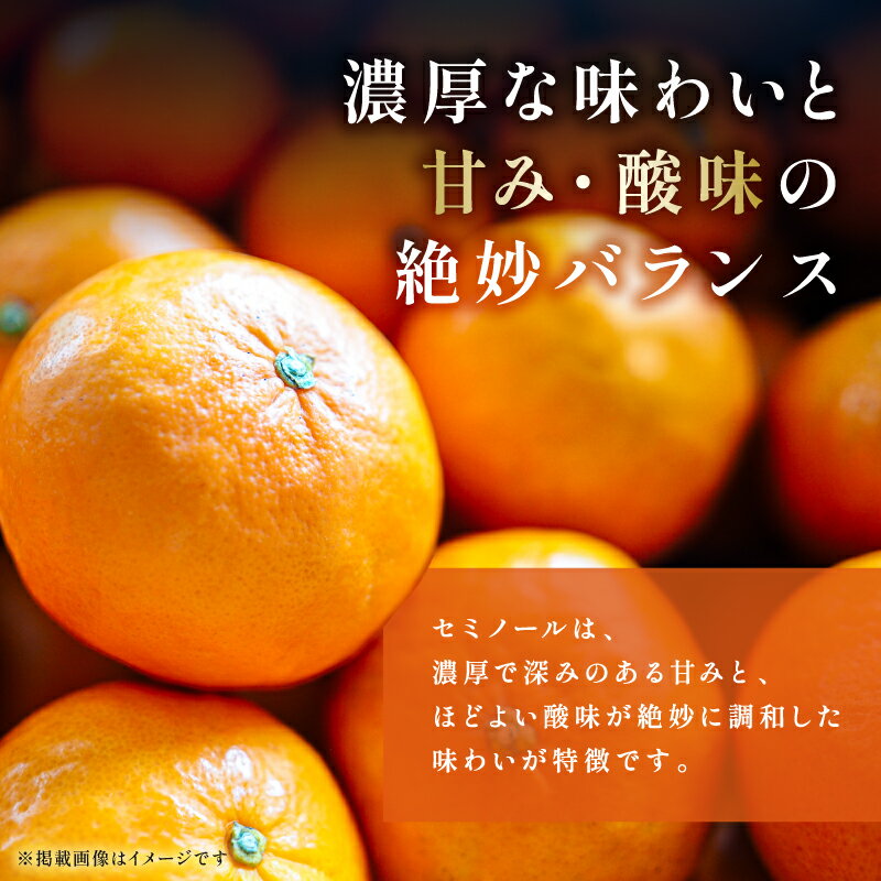 【ふるさと納税】【2026年発送 先行予約品】ジューシーさダントツ！ ミカファーム オレンジ セミノール 5kg 9.5kg 春頃発送 三重県 御浜町産【驚くほどジューシー！口に入れた瞬間甘さが溢れます】
