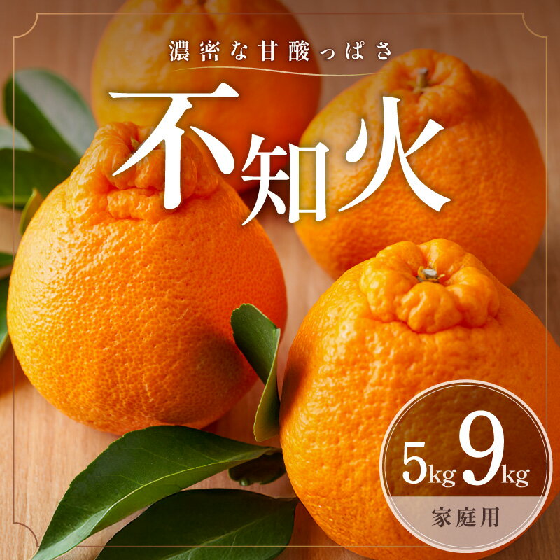 【ふるさと納税】【2026年発送 先行予約品】濃密な甘酸っぱさ！ ミカファーム 訳あり 不知火 5kg 9kg 家庭用 春頃発送 三重県 御浜町産【ジューシーかつ濃厚な味わい、プチプチと弾ける食感】