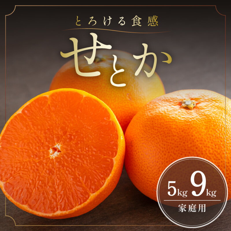 [2026年発送 先行予約品]ミカファーム せとか 5kg 9kg 家庭用 春頃発送 三重県 御浜町産[柑橘の大トロと言われるほどのとろける果肉]