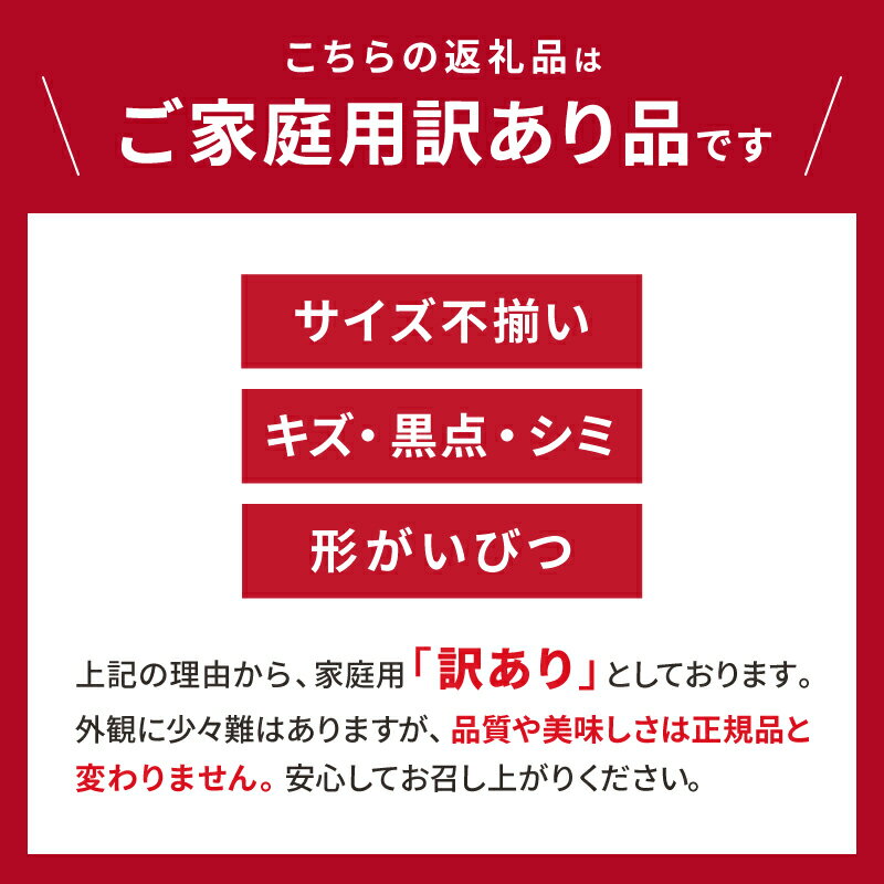 【ふるさと納税】【数量限定】辻本農園 訳あり 山下紅みかん 家庭用 10kg キズあり【栽培が難しく市場に出回りにくい幻のみかん】
