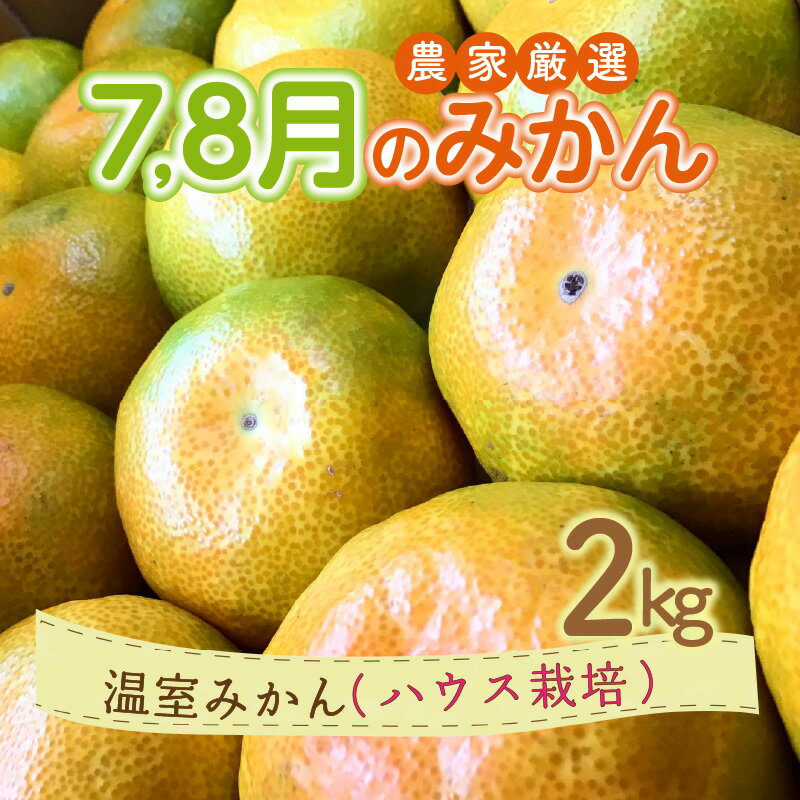 7・8月の御浜柑橘 温室みかん 2kg[御浜町でとれた温室みかんをお届け!]