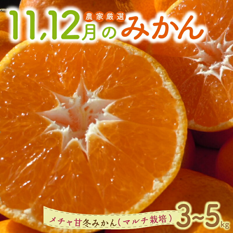 11・12月の御浜柑橘 メチャ甘冬みかん 3〜5kg[御浜町でとれたメチャ甘冬みかんをお届け!]