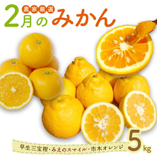 【ふるさと納税】2月の御浜柑橘 早生三宝柑 みえのスマイル 市木オレンジ 詰め合わせ セット 5kg【御浜町でとれたみかん詰め合わせをお届け!】 【ふるさと納税】2月の御浜柑橘 早生三宝柑 みえのスマイル 市木オレンジ 詰め合わせ セット 5kg【御浜町でとれたみかん詰め合わせをお届け!】