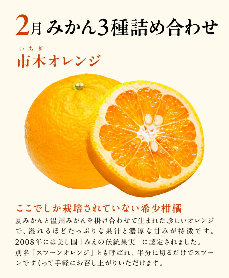 【ふるさと納税】【2026年発送 先行予約品】2月の御浜柑橘 早生三宝柑 みえのスマイル 市木オレンジ 詰め合わせ セット 5kg【御浜町でとれたみかん詰め合わせをお届け！】