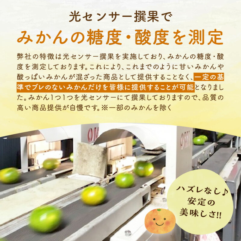 【ふるさと納税】10月の御浜柑橘 秋みかん 5～10kg【御浜町でとれた秋みかんをお届け！】