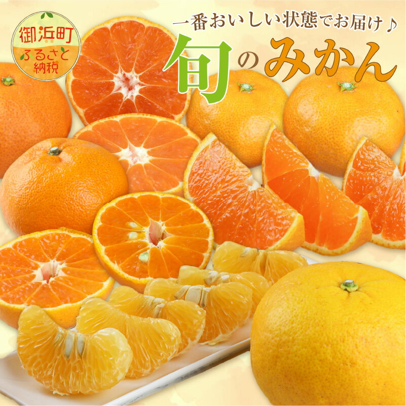 【ふるさと納税】旬のみかん 産地直送 フルーツ 果物 くだもの オレンジ しらぬい 不知火 早生 温室みかん みかん ミカン 旬 秋 柑橘系 おいしい 5キロ 5kg 3キロ 3kg 10キロ 10kg 送料無料 御浜 御浜町 三重県 ふるさと納税 みかん