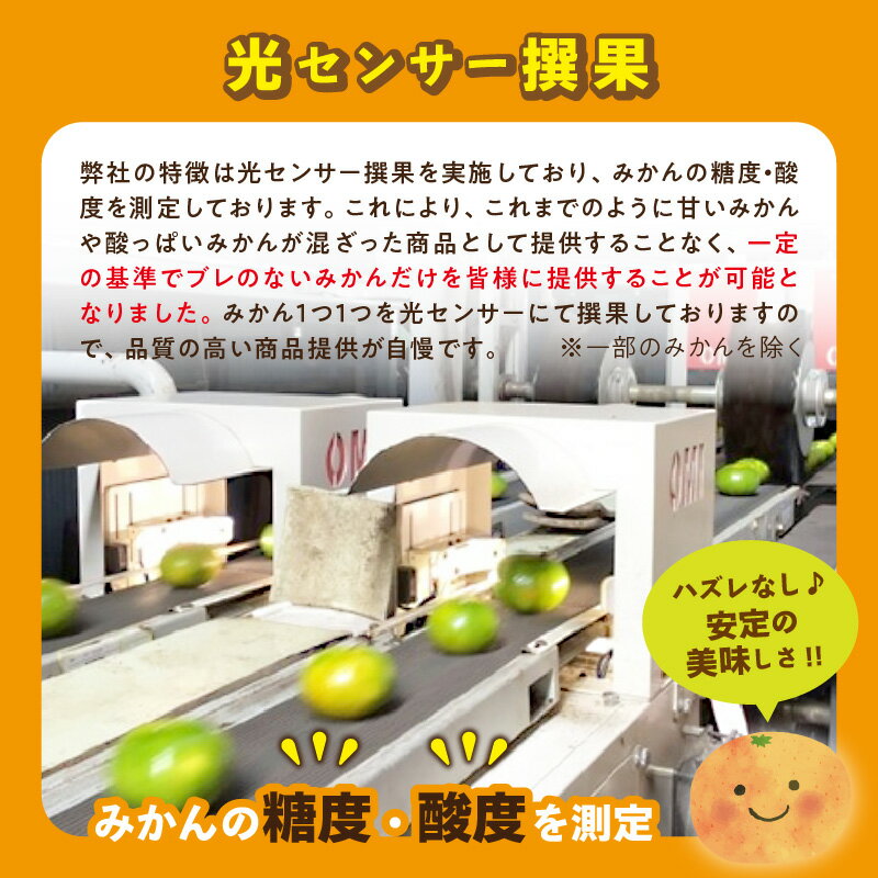 【ふるさと納税】旬のみかん 産地直送 フルーツ 果物 くだもの オレンジ しらぬい 不知火 早生 温室みかん みかん ミカン 旬 秋 柑橘系 おいしい 5キロ 5kg 3キロ 3kg 10キロ 10kg 送料無料 御浜 御浜町 三重県 ふるさと納税 みかん