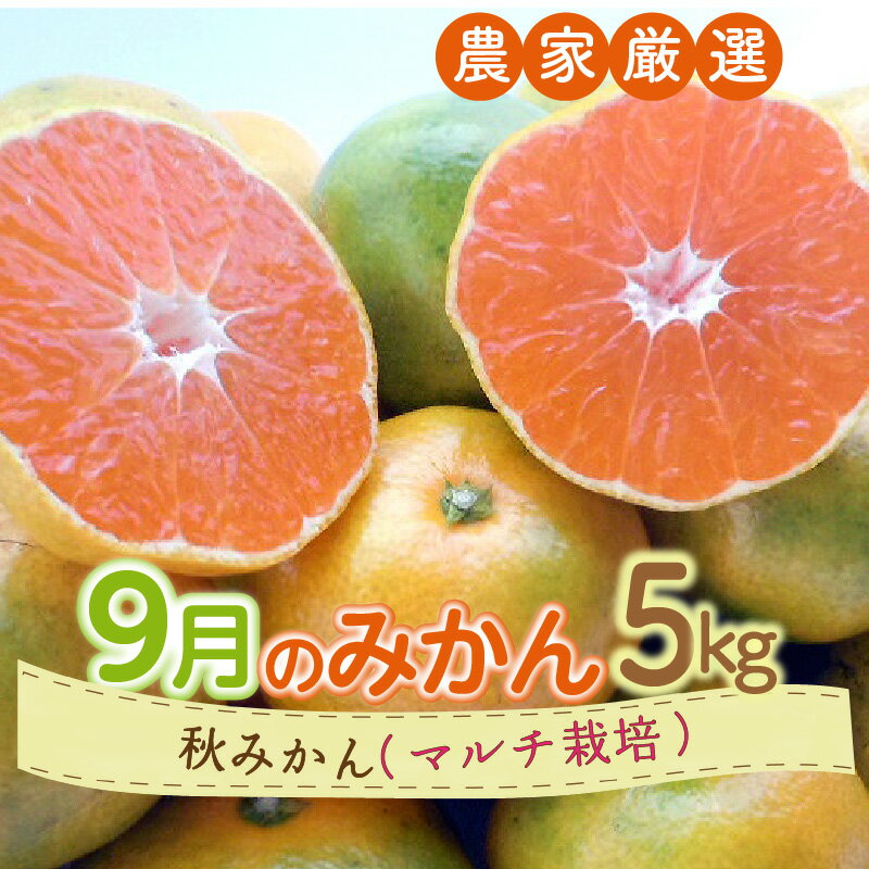 9月の御浜柑橘 秋みかん(極早生みかん) 5kg[御浜町でとれた秋みかんをお届け!]