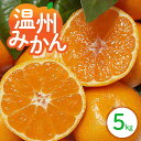 【ふるさと納税】【先行予約】丸安青果 訳あり 温州みかん 5kg (家庭用) 御浜町産 冬頃発送【皮がむきやすく、種なしで食べやすい!】