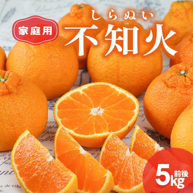 【ふるさと納税】【2026年発送 先行予約品】丸安青果 訳あり 不知火 5kg前後 家庭用【甘くて爽やかな香り】