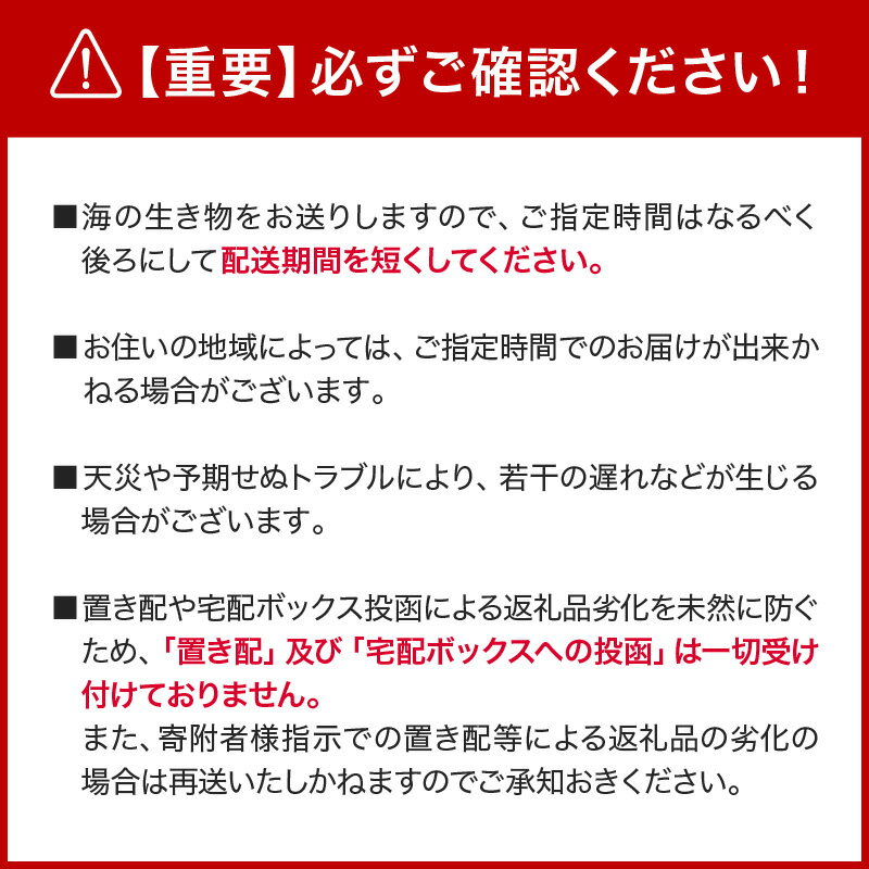 【ふるさと納税】【年内発送】文恵丸水産 ＜選べる内容量＞ 熊野灘産活〆急速冷凍伊勢海老 【急速冷凍した伊勢海老！解凍後はお刺身で食べられます。】