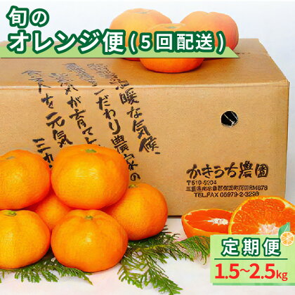 旬のオレンジ便（全5回）果物 フルーツ みかん 旬 定期便 定期 5回 文旦 木成甘夏 ハウスみかん 極早生みかん 完熟みかん 三重県 御浜町 送料無料