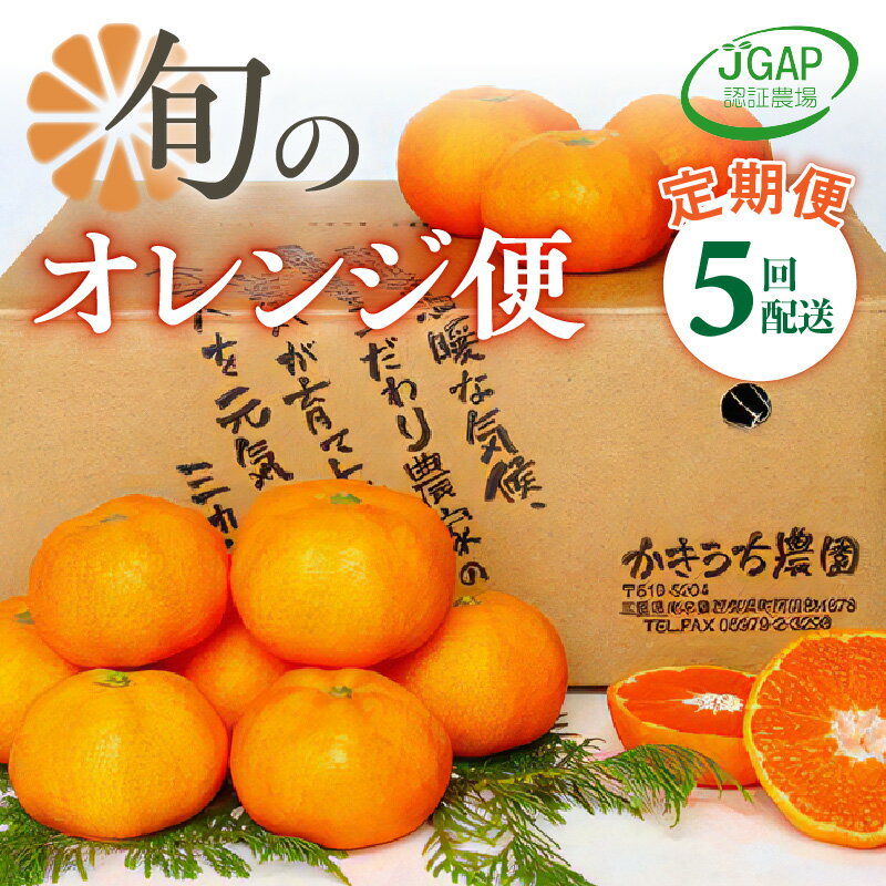 かきうち農園 オレンジ 定期便 (全5回)