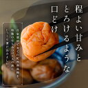 三重県御浜町の画像2