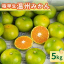 17位! 口コミ数「2件」評価「5」【高評価★5.00 高レビュー★】JAの南紀みかん極早生5キロ 果物 フルーツ 5kg 南紀みかん ミカン 三重 御浜町 柑橘 みかん 極早･･･ 