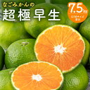【ふるさと納税】【9月中旬より順次発送】なごみかん 超極早生みかん 7.5kg【糖度があり酸味はまろやかなみかん】(4)