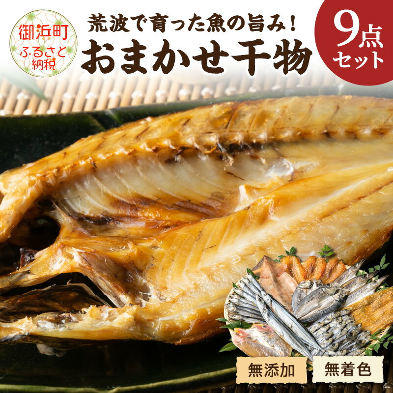 マルミツのおまかせ9点 魚 干物 セット 詰め合わせ 魚 干物 セット 詰め合わせ ふぐ ウルメ 太刀魚 カマス アジ 鯛 甘鯛 さんま 送料無料 無添加 無着色 三重県 御浜町