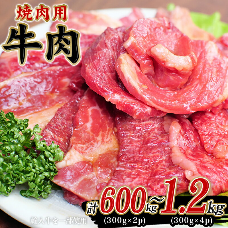 【ふるさと納税】＼容量が選べる／ 牛タレ仕込味付焼肉 【冷凍】 / 肉 牛肉 牛 小分け 味 焼き肉 焼肉 人気 大人気 おすすめ 大容量 おかず バーベキュー 冷凍