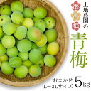【ふるさと納税】 【6/5までの受付!】L-3Lサイズの混合! 訳あり ご家庭用 南高梅 青梅 5kg【2025年5月下旬から6月上旬までに順次発送】/ 梅 梅...