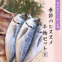 【ふるさと納税】季節のおすすめ干物セットB（約20枚） 三重県紀宝町産 ※季節によって内容が異なります / ひもの 干物 海鮮 海の幸 みりん干し 開き 丸干し 詰め合わせ イカ さんま カマス しらす いわし アジ 冷蔵