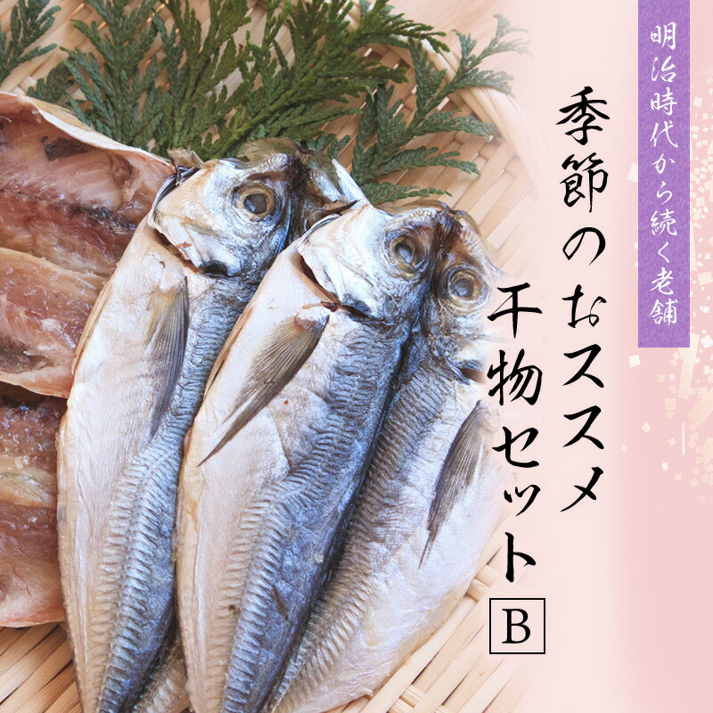 【ふるさと納税】 季節のおすすめ干物セットB(約20枚) 三重県紀宝町産 ※季節によって内容が異なります / ひもの 干物 海鮮 海の幸 みりん干し 開き 丸干し 詰め合わせ イカ さんま カマス しらす いわし アジ 冷蔵