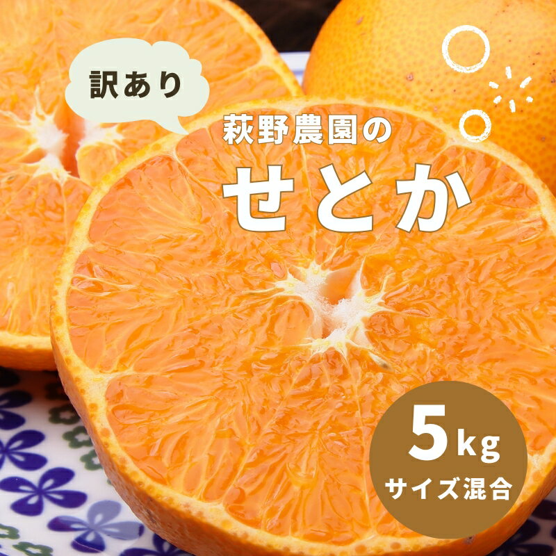 萩野農園の 訳あり せとか 5kg サイズ混合[2025年3月中旬から4月上旬までに順次発送] / せとか みかん ミカン 蜜柑 柑橘 果物 くだもの フルーツ サイズ 不揃い 家庭用 ご家庭用 訳あり 訳アリ 予約 人気 ジューシー 甘い