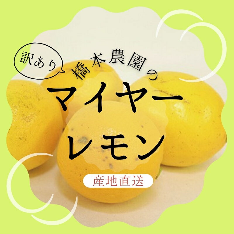 [先行予約]橋本農園の 訳あり マイヤーレモン[3kg・5kg・10kgから選べます][2024年12月初旬〜2025年1月初旬までに順次発送] / レモン マイヤーレモン 檸檬 先行予約 家庭用 ご家庭用