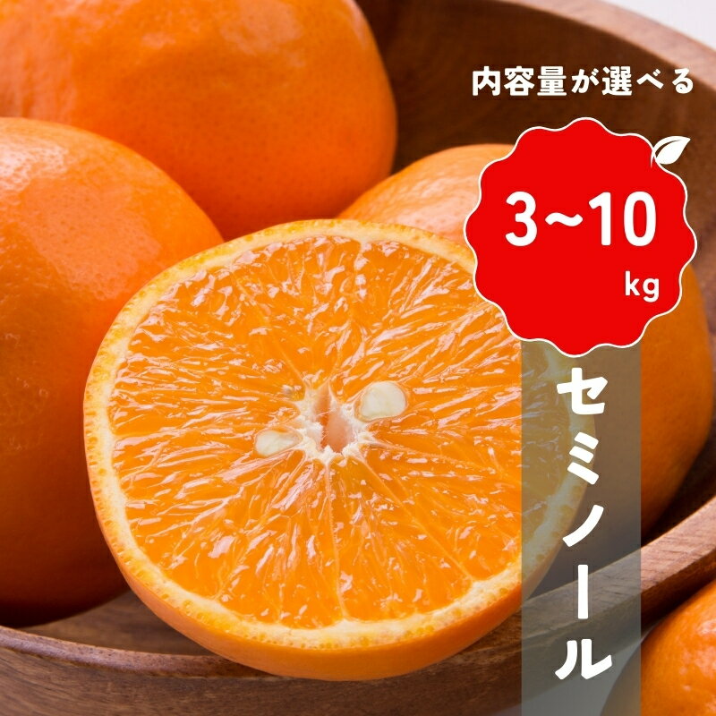 15位! 口コミ数「0件」評価「0」【先行予約】＼容量が選べる／ 橋本農園の セミノール 【2025年3月中旬から4月中旬に順次発送】 / セミノール 柑橘 フルーツ 果物 く･･･ 