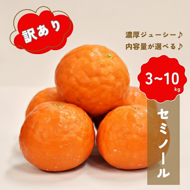 【ふるさと納税】【先行予約】＼容量が選べる／ 橋本農園の 訳あり セミノール 【2025年3月中旬から4月中旬に順次発送】 / セミノール 柑橘 フルーツ 果物 くだもの 先行予約