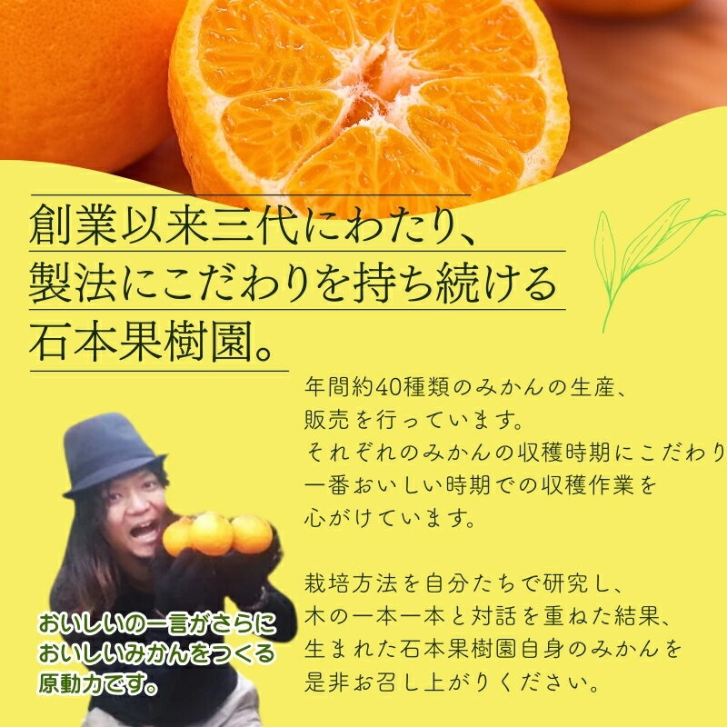 三重県紀宝町の画像2