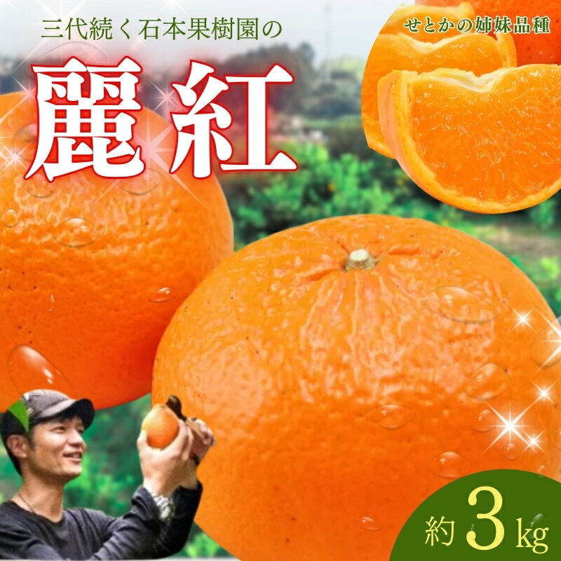 【ふるさと納税】 みかん 石本果樹園の美味しい 麗紅 (レイコウ) 約3kg 20から25玉前後【2026年2月中旬から3月中旬までに順次発送】 / ミカン 蜜柑 フルーツ くだもの 果物 先行予約 れいこう 産地直送 送料無料